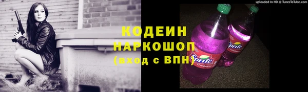 соль ск Пестово