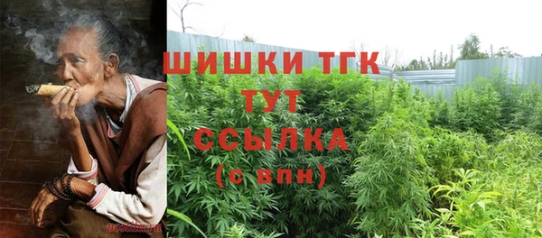ешки Белокуриха