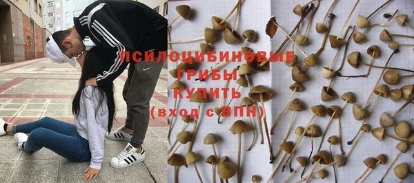 ALPHA PVP Беломорск
