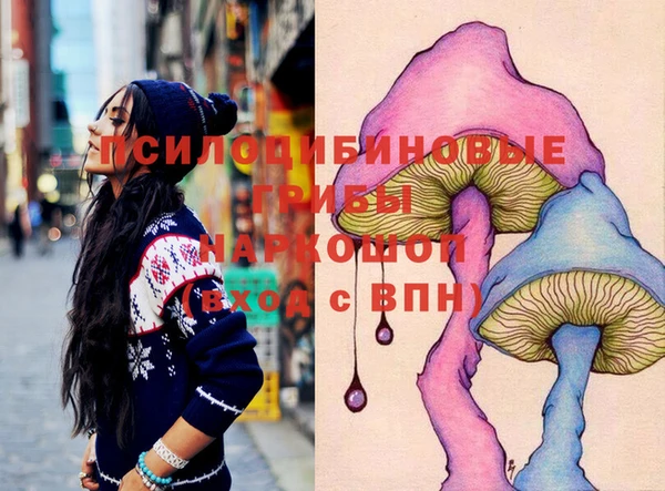 молекула духа Ветлуга